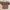 Goth Coquette Crop top Wanita tan brown photo 3