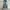 Levi's Vintage Y2K Jeans Pria Gray