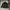 Vintage Harrington jacket Pria black photo 1