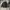 Vintage Harrington jacket Pria black photo 2