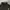 Adidas Sportswear Trench coat Pria black photo 2