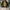 Vintage Harrington jacket Pria brown black photo 2