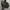 Dickies Vintage Y2K Varsity jacket Pria black photo 2