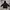 Uniqlo Luxury Casual Parka Pria black photo 6