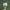 Y2K Hat Pria cream blue photo 1