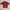 Casual Shirt Wanita red photo 2
