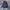 Adidas Streetwear Sportswear Track jacket Pria navy photo 2
