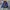 Adidas Streetwear Sportswear Track Jacket Pria Navy