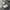 Adidas Streetwear Sportswear Track jacket Pria navy photo 4