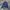 Adidas Streetwear Sportswear Track jacket Pria navy photo 1