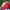 Casual Hat Pria red photo 3