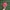 Casual Hat Pria red photo 1