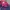 Adidas Sportswear Track jacket Wanita navy pink photo 3