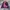 Adidas Sportswear Track jacket Wanita navy pink photo 2
