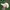 LEGACY Casual Hat Pria cream photo 2