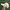 LEGACY Casual Hat Pria Cream