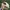 LEGACY Casual Hat Pria cream photo 3