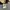 Carhartt Streetwear Y2K Denim jacket Pria cream tan photo 8