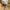 Carhartt Streetwear Y2K Denim jacket Pria cream tan photo 7