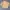 Carhartt Streetwear Y2K Denim jacket Pria cream tan photo 5