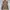 Carhartt Streetwear Y2K Denim jacket Pria cream tan photo 2