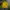 Nike Y2K Sportswear Track jacket Pria yellow photo 1
