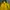 Nike Y2K Sportswear Track jacket Pria yellow photo 3