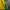 Nike Y2K Sportswear Track jacket Pria yellow photo 4