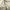 Polo Ralph Lauren Lolita Casual Sweater Pria tan photo 3