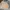 Polo Ralph Lauren Lolita Casual Sweater Pria Tan