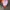 Yeezy Vintage Biker Bomber jacket Pria green photo 3