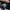 Adidas Casual Casual shoe Pria multicolor photo 2
