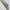 Japanese brand Vintage Pria green photo 3