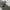 Japanese brand Vintage Pria green photo 5