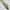 Japanese brand Vintage Pria green photo 2