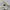 Japanese brand Vintage Pria khaki cream photo 8