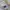 Japanese brand Vintage Pria khaki cream photo 7