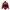 Arnold Palmer Casual Harrington Jacket Pria Red