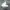 Alexander McQueen Casual Casual shoe Pria white black photo 2