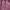 WHO.A.U Streetwear Hoody Pria pink photo 2