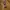 Teenie Weenie Y2K Minimalist Sweater Pria tan photo 2