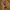 Teenie Weenie Y2K Minimalist Sweater Pria Tan