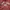 Hollister Streetwear Hoody Pria red photo 2
