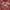 Hollister Streetwear Hoody Pria Red