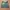 Quiksilver Streetwear Sportswear Short Pria multicolor photo 2