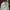 Burberry Luxury Hat Pria brown photo 2