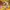 Fairy Futurist Other Wanita orange yellow photo 1