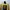 Casual Sweater Pria yellow photo 3