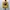 Casual Sweater Pria Yellow