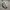 New Balance Indie Casual Sneakers Pria white photo 2